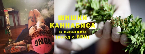 прущие грибы Дмитров