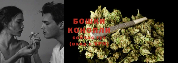ПСИЛОЦИБИНОВЫЕ ГРИБЫ Дмитриев
