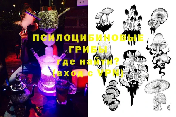 прущие грибы Дмитров