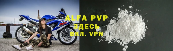 ПСИЛОЦИБИНОВЫЕ ГРИБЫ Дмитриев