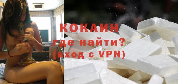 прущие грибы Дмитров