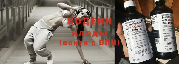ПСИЛОЦИБИНОВЫЕ ГРИБЫ Дмитриев