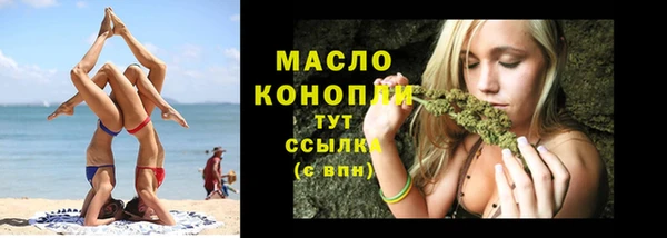 ПСИЛОЦИБИНОВЫЕ ГРИБЫ Дмитриев