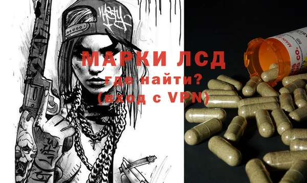 ПСИЛОЦИБИНОВЫЕ ГРИБЫ Дмитриев