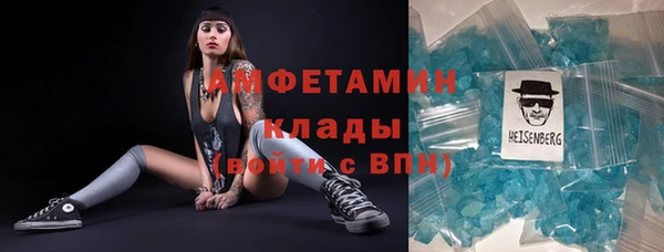 прущие грибы Дмитров