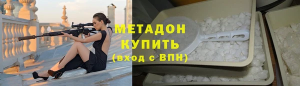 ПСИЛОЦИБИНОВЫЕ ГРИБЫ Дмитриев
