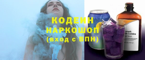 ПСИЛОЦИБИНОВЫЕ ГРИБЫ Дмитриев