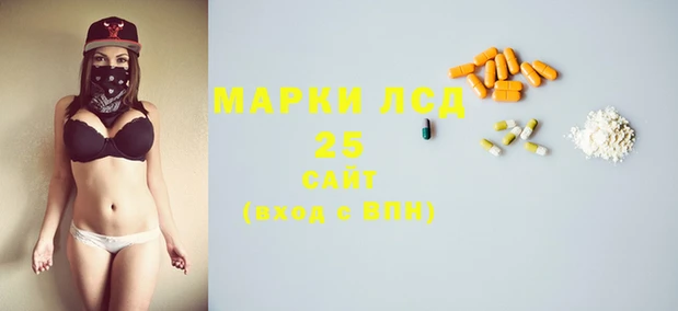 прущие грибы Дмитров