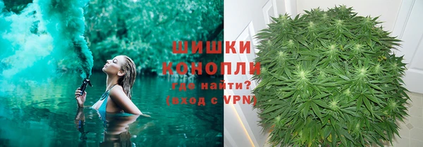 прущие грибы Дмитров