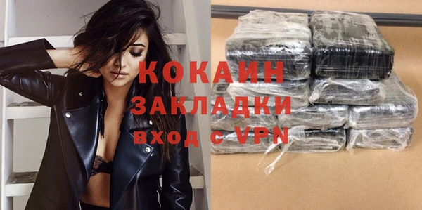 прущие грибы Дмитров