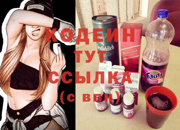 ПСИЛОЦИБИНОВЫЕ ГРИБЫ Дмитриев