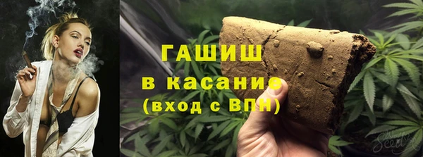 прущие грибы Дмитров