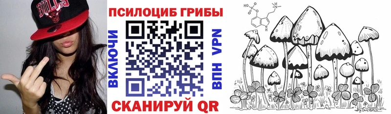 Псилоцибиновые грибы Psilocybe Казань
